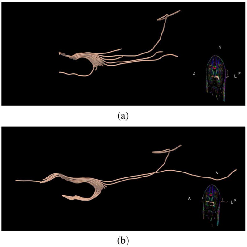 Fig. 19