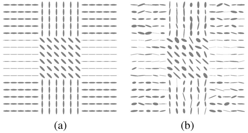 Fig. 12