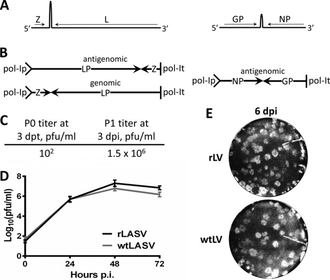 Fig 1