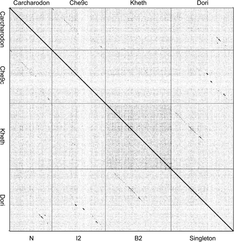 Figure 2—figure supplement 2.