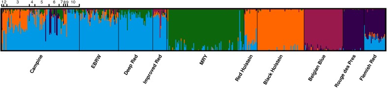 Fig 5