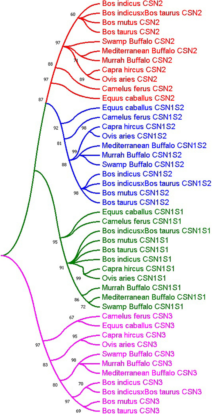 FIGURE 1