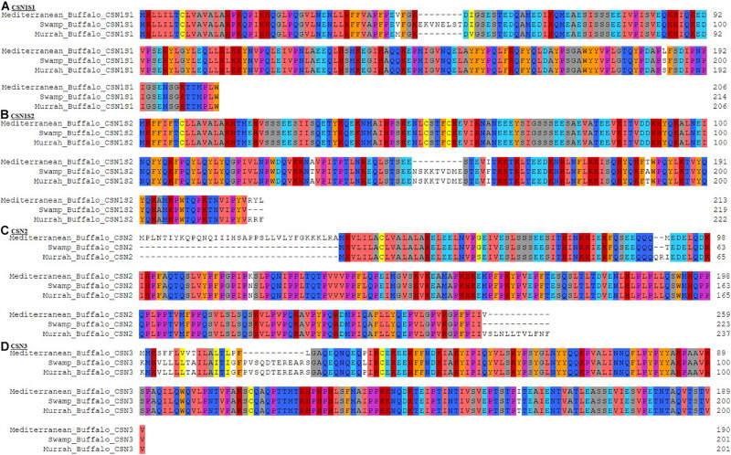 FIGURE 3