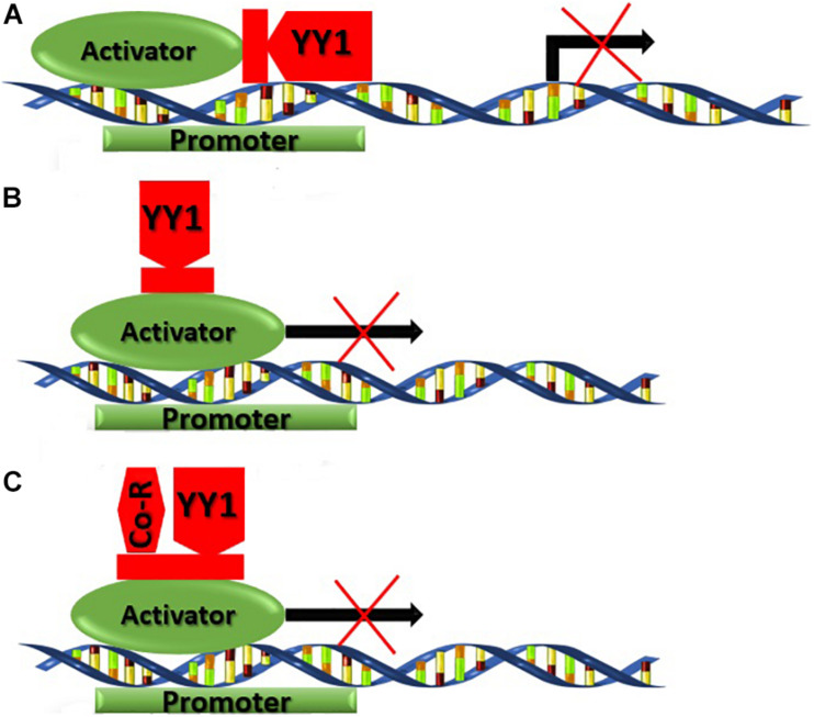 FIGURE 7