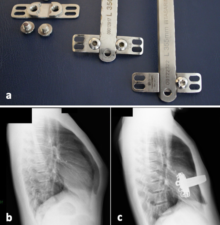 Fig. 8