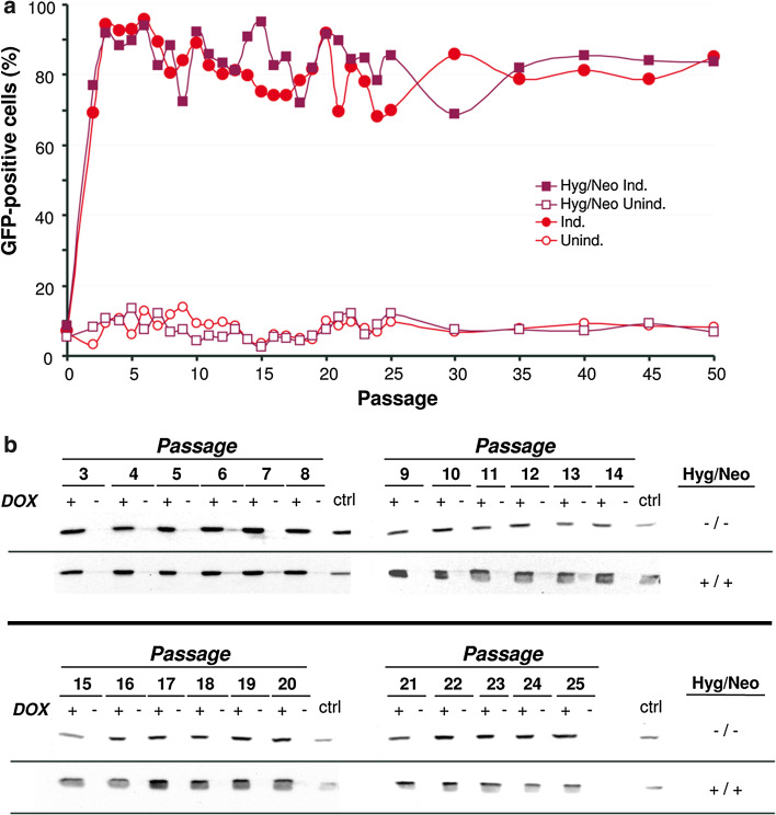 Fig. 3