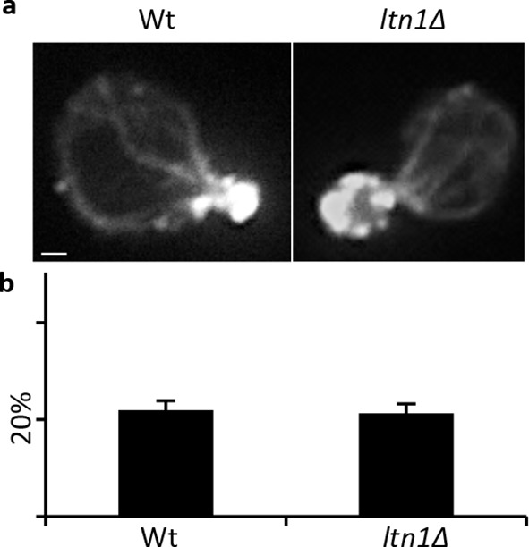 Figure 3—figure supplement 2.