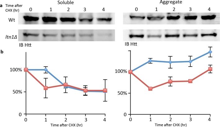 Figure 2—figure supplement 4.