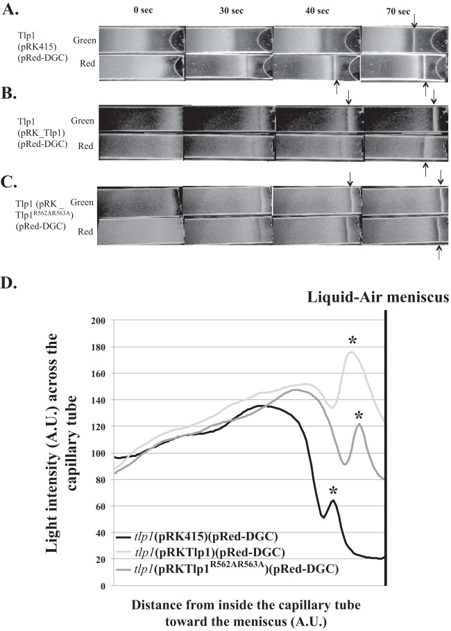 FIG 4