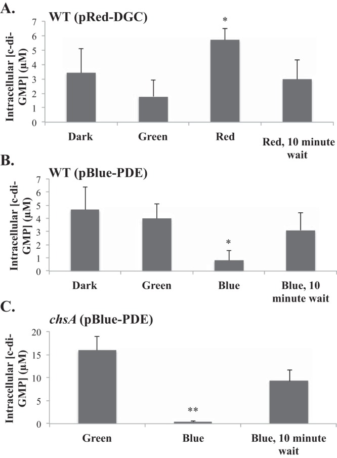 FIG 2