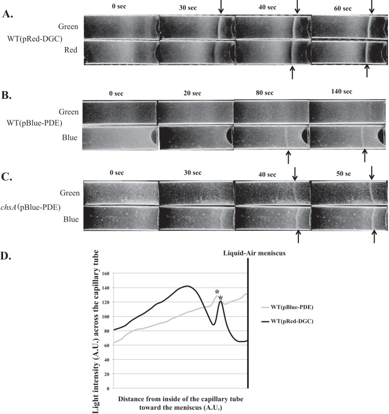 FIG 3