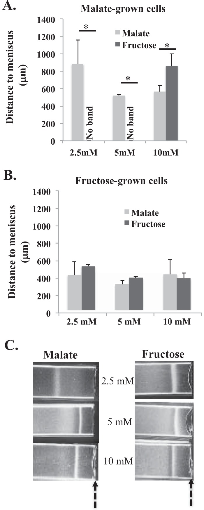 FIG 5