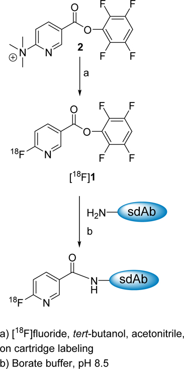 Scheme 2.