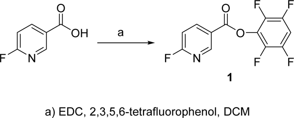 Scheme 1.