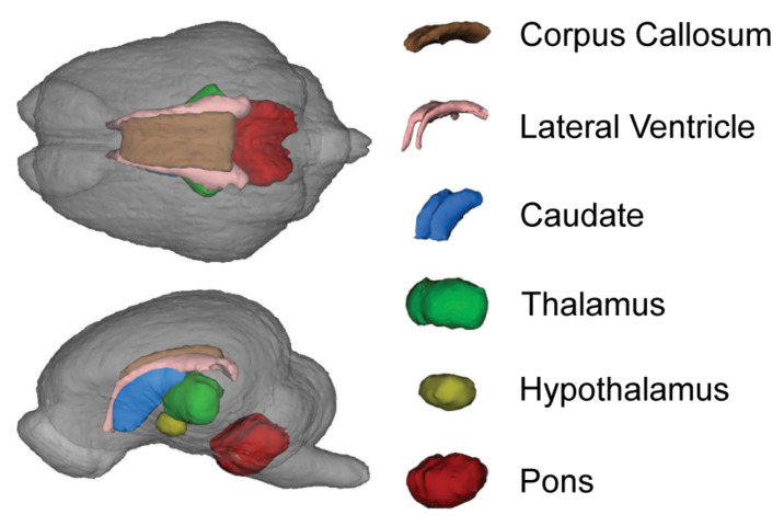 FIGURE 4