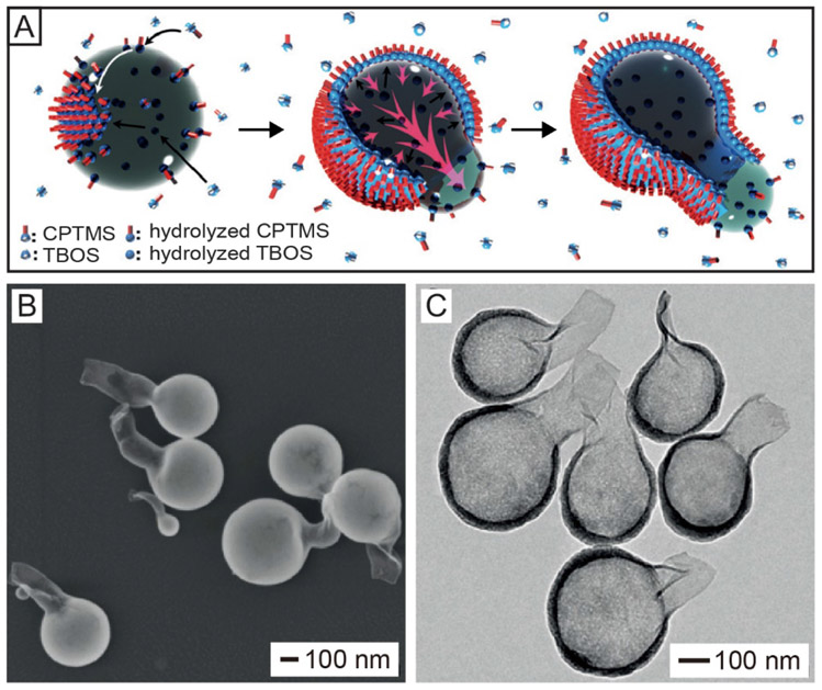 Figure 3.