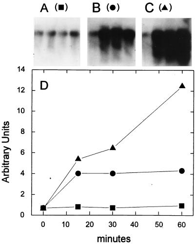 FIG. 7