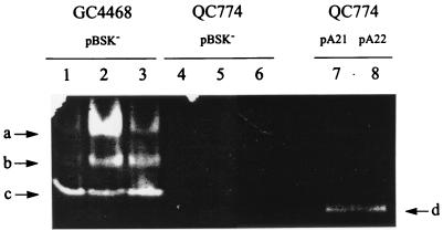 FIG. 5