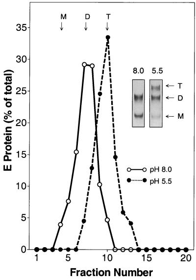 FIG. 5.