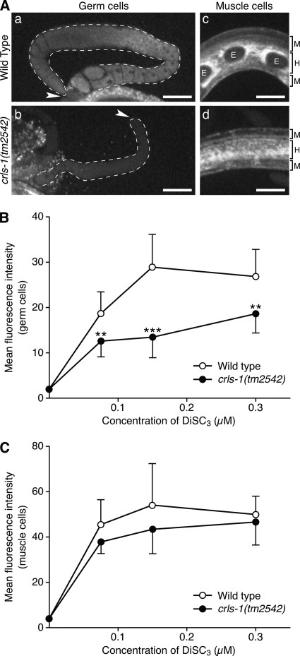 FIGURE 7.