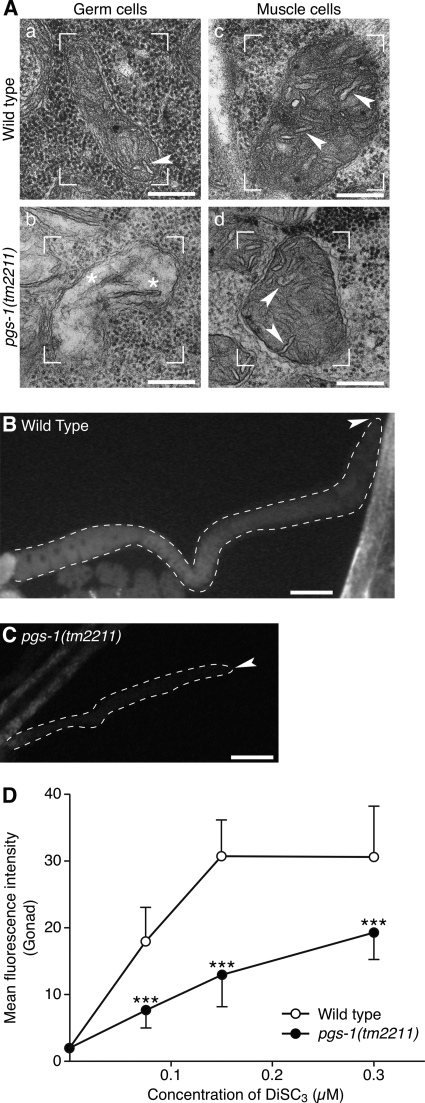 FIGURE 10.