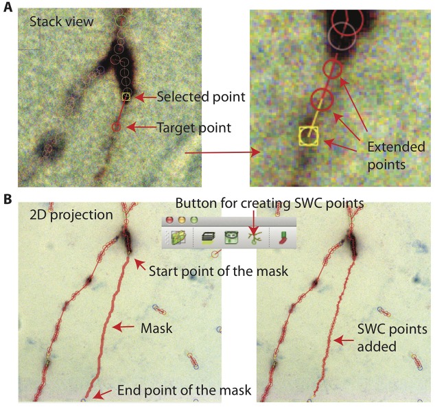 Figure 11