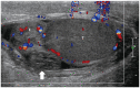 Fig. 20