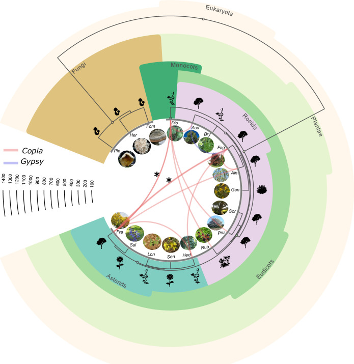 Fig 4