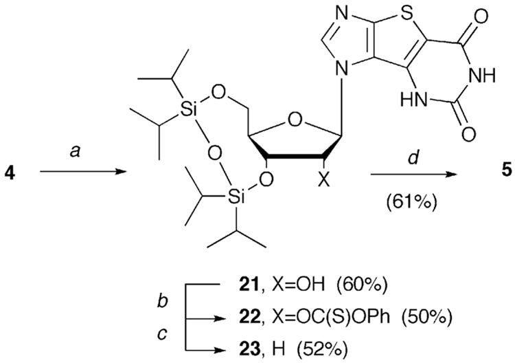 Scheme 5