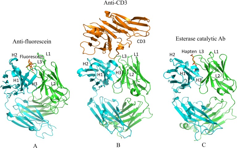 Fig 2