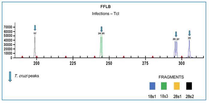 FIGURE 3: