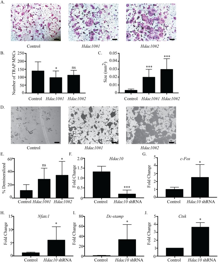 Fig 6