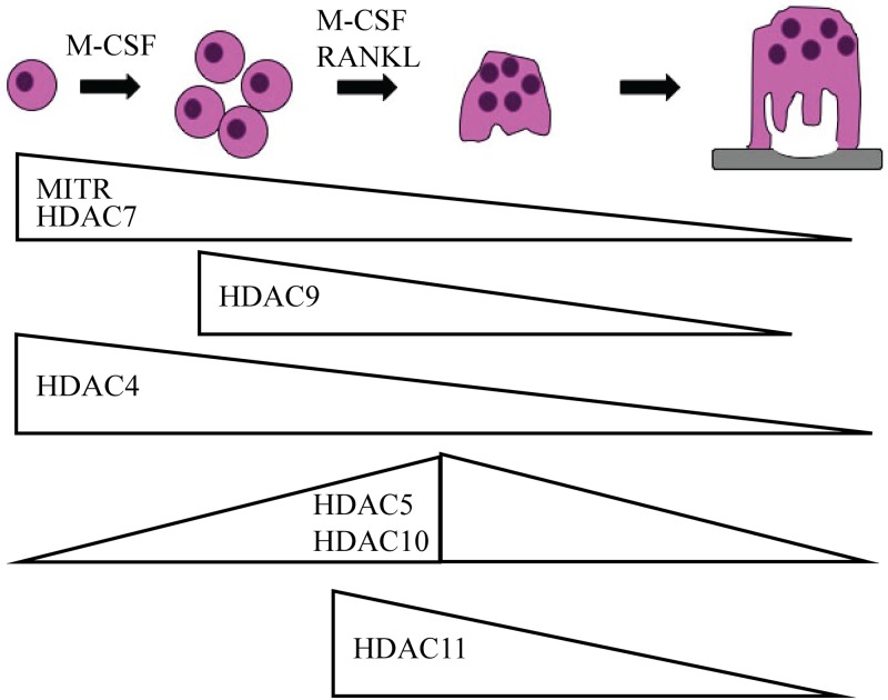 Fig 8