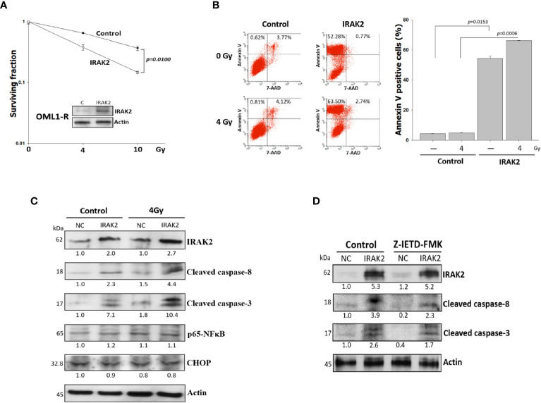 Figure 2