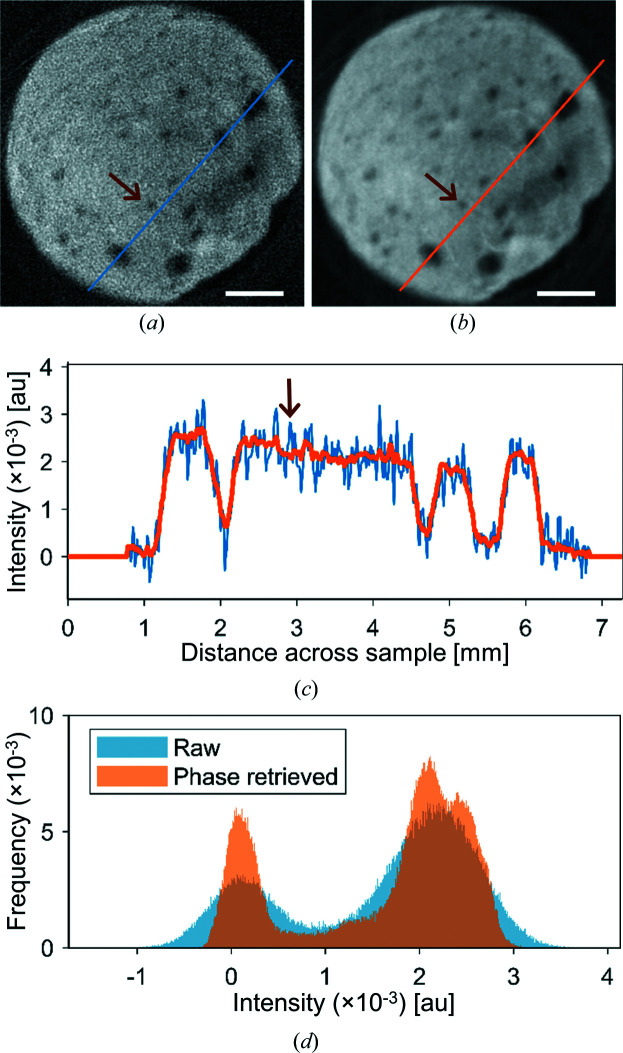 Figure 6