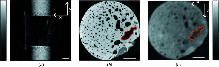 Figure 7