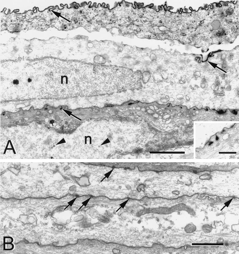 FIG. 6