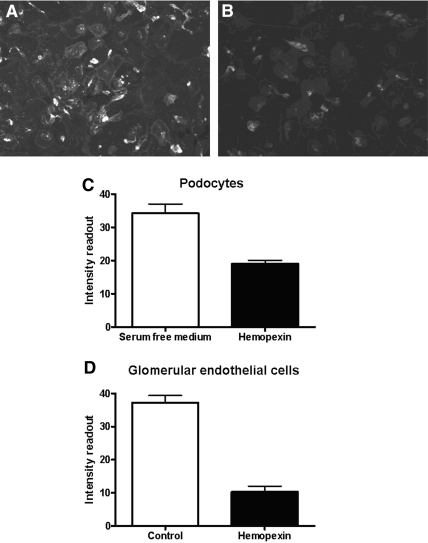 Figure 9.