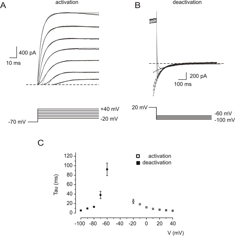 Fig 2