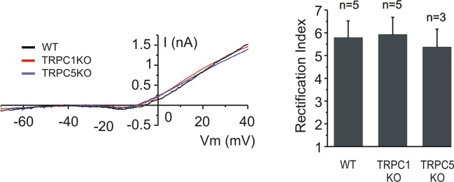 Fig 5