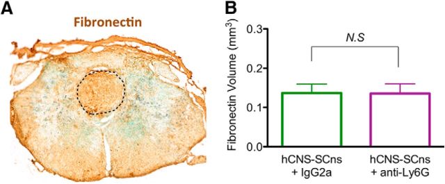 Figure 10.