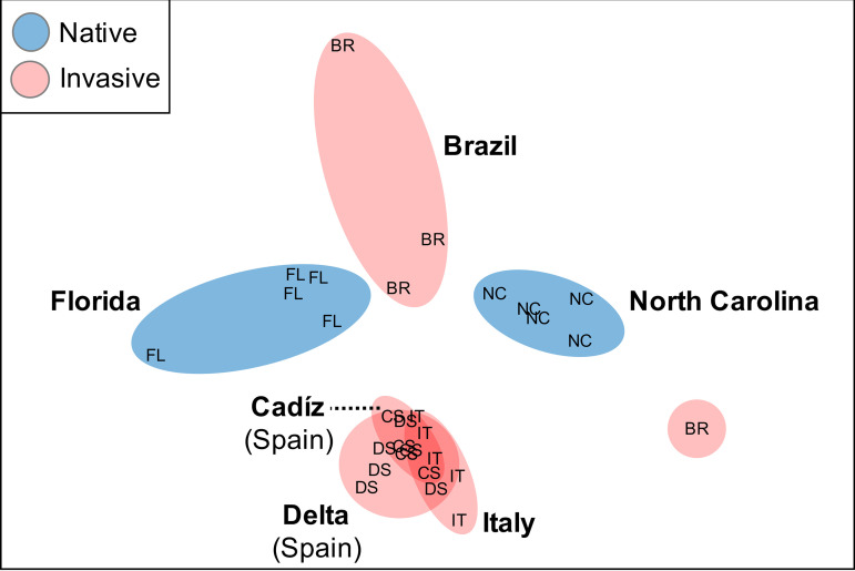 FIG 3