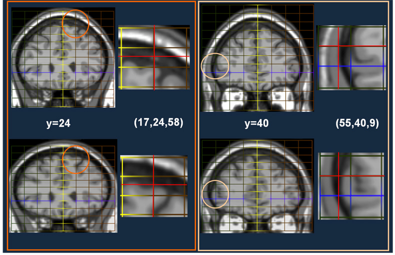 Fig. 9