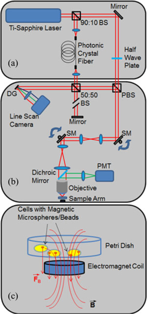 Fig. 1