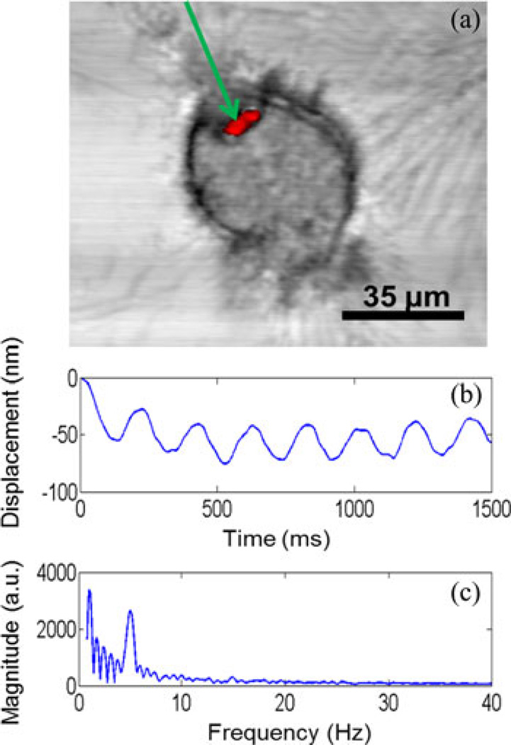 Fig. 4