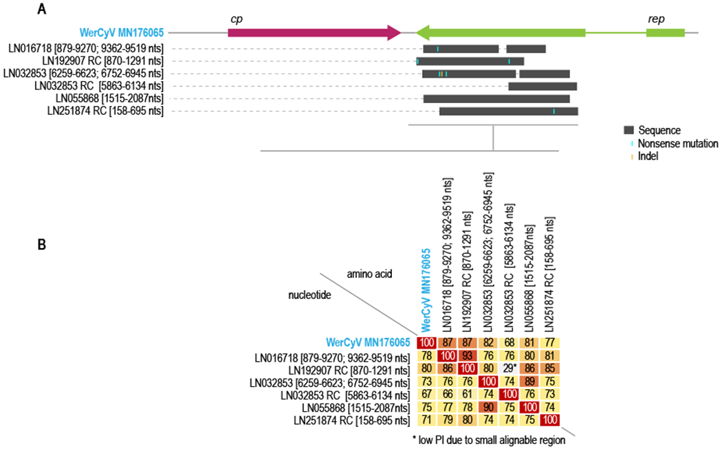 Figure 4: