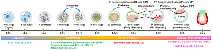 Figure 1.