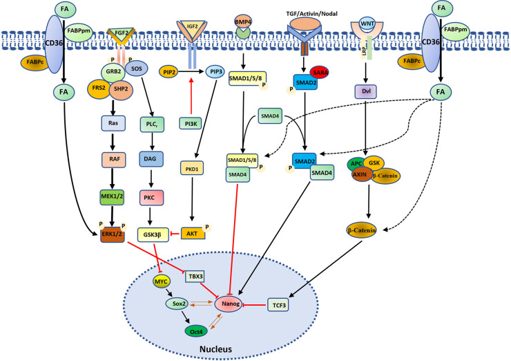 Figure 3.