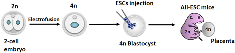 Figure 2.