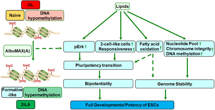 Figure 4.